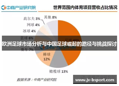 欧洲足球市场分析与中国足球崛起的路径与挑战探讨
