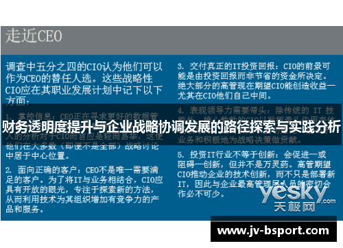 财务透明度提升与企业战略协调发展的路径探索与实践分析