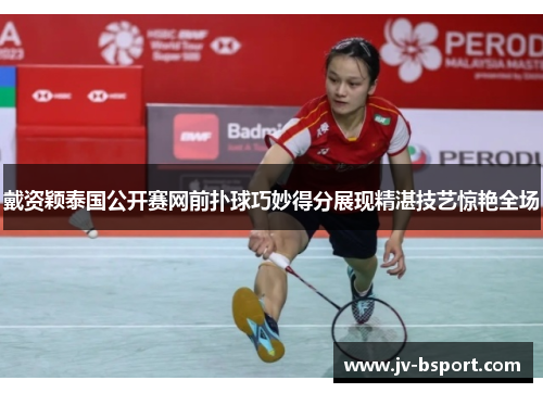 戴资颖泰国公开赛网前扑球巧妙得分展现精湛技艺惊艳全场