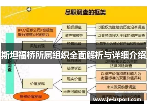 斯坦福桥所属组织全面解析与详细介绍
